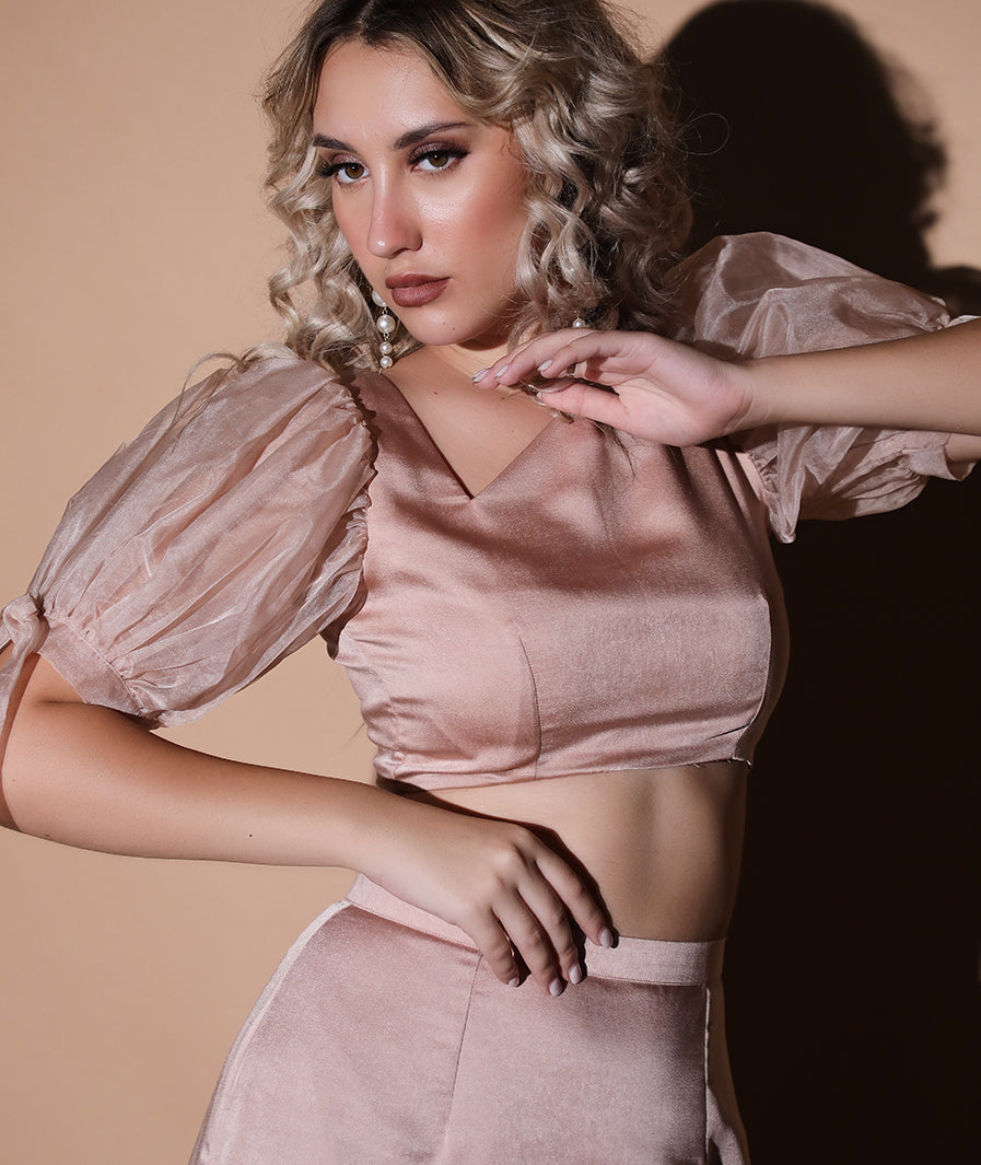 Cream Top with Georgette Sleeves